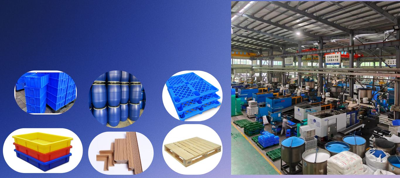 未命名的设计 (4)